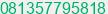 Mobile number of Mr. Leonardo Tan at Surabaya