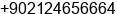 Phone number of Mr. Baris OZGUR at Istanbul