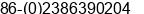 Phone number of Mr. WEI LI at CHONQING