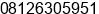 Phone number of Mr. Renato Aldi at Medan